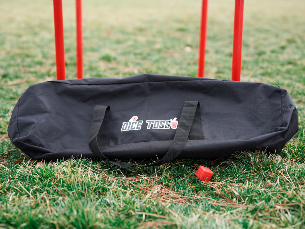 The New Backyard Game Taking Over: DICE TOSS